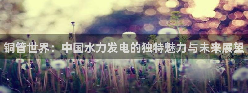 楚雄众腾娱乐在哪里