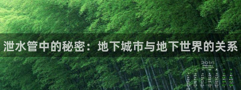 腾耀3娱乐众推8 28