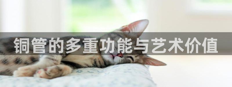 腾众娱乐的彩票靠谱吗