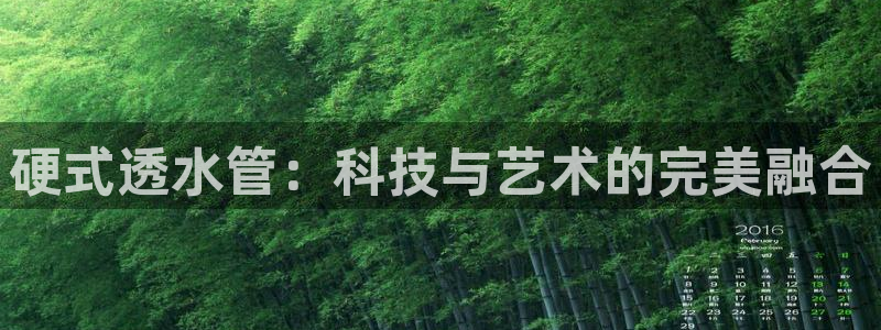 腾众娱乐是什么