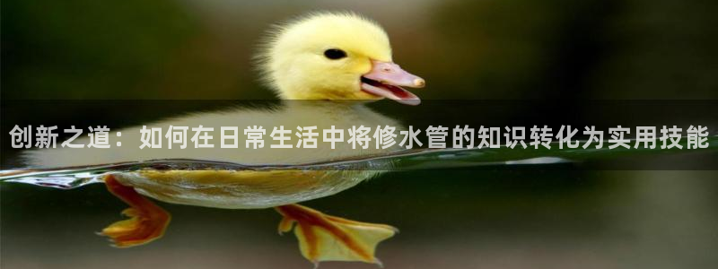 众腾娱乐代理怎么样