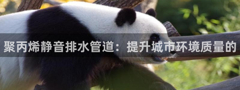 腾耀娱乐众推99840