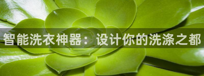 众联别墅g座上腾娱乐有限公司