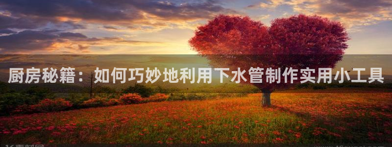 众腾娱乐平台下载