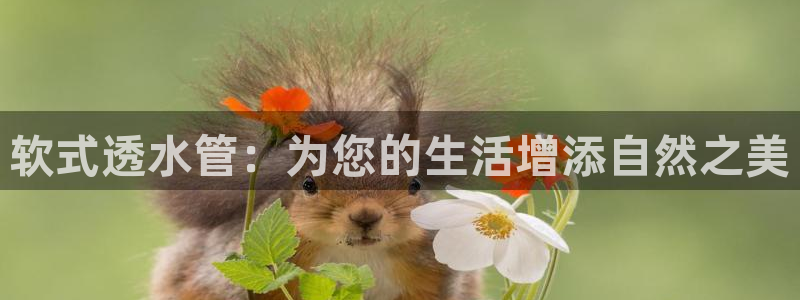 腾众娱乐是个啥