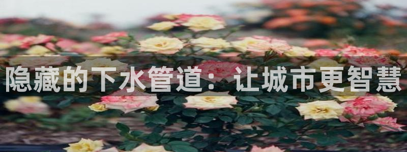 众腾娱乐下7O777