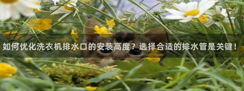 岳阳众腾ktv娱乐