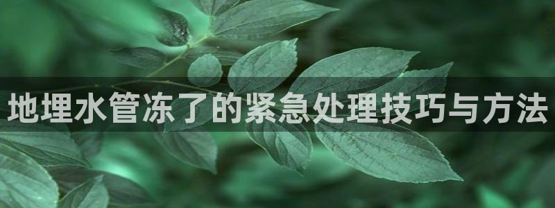 众腾娱乐蚀 7O935