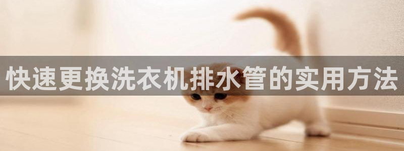 众腾娱乐蚀 7O935